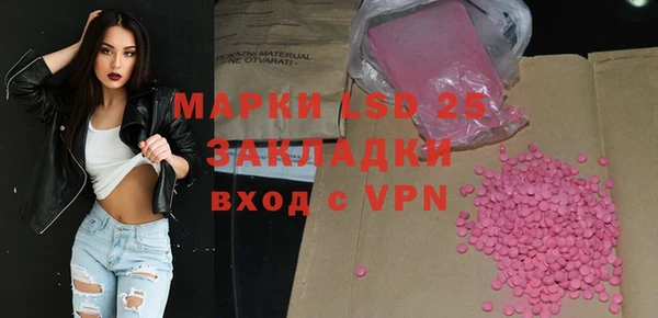 гашик Козельск