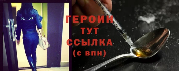 гашик Козельск