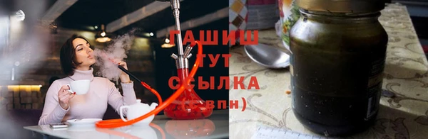 гашик Козельск