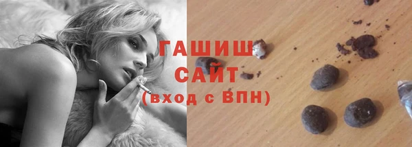 гашик Козельск