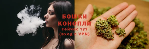 гашик Козельск
