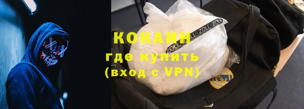 гашик Козельск