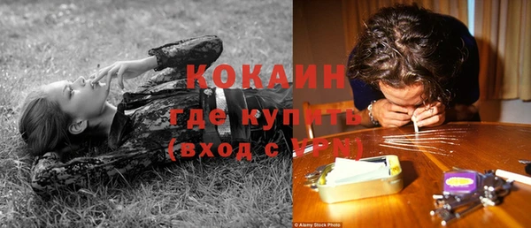 mdpv Кодинск