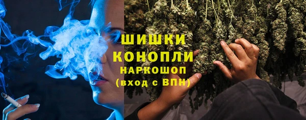 гашик Козельск