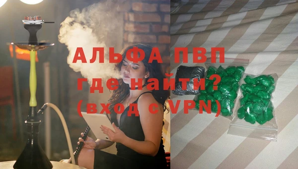 гашик Козельск