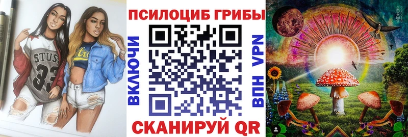 Галлюциногенные грибы Cubensis  Купить где  Можга 